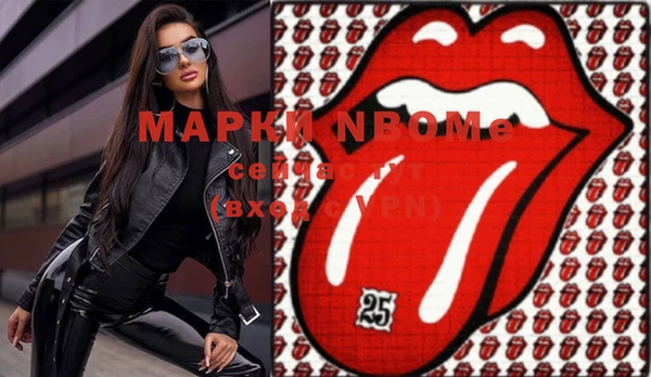 сатива Новокубанск